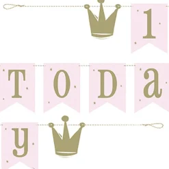 1 Today Princess Bunting - 1.8M<Party Delights Hot