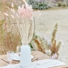 A Touch Of Pampas Blush Pink Dried Bunny Tail Grass (20Pk)<Party Delights Clearance