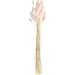 A Touch Of Pampas Blush Pink Dried Bunny Tail Grass (20Pk)<Party Delights Clearance