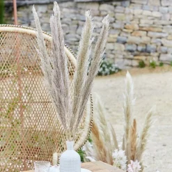 A Touch Of Pampas Natural Pampas Grass (5Pk)<Party Delights Clearance