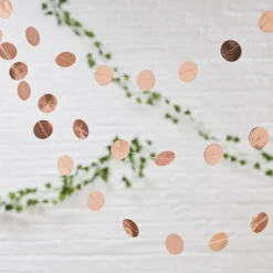 Beautiful Botanics Rose Gold Circle Garland - 5M<Party Delights