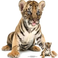Bengal Tiger Cub Cardboard Cutout - 73Cm X 73Cm<Party Delights Discount