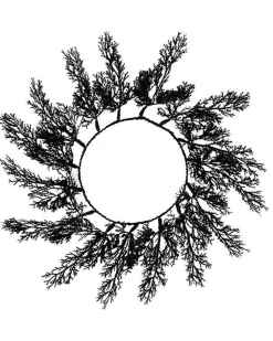 Party Delights Tableware<Black Foliage Placemats (4Pk)