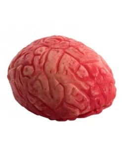 Party Delights Props<Bloody Brain Prop