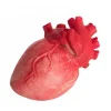 Party Delights Props<Bloody Heart Prop