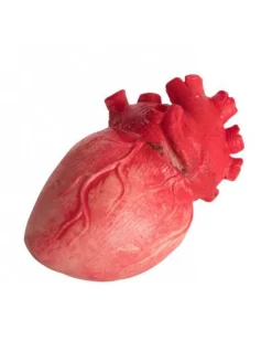Party Delights Props<Bloody Heart Prop