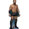 Bobby Fish Wwe Cardboard Cutout - 176Cm X 67Cm<Party Delights Clearance