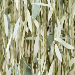 Botanical Baby Green Leaf Backdrop<Party Delights Hot