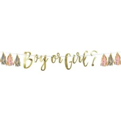 Boy Or Girl Banner With Tassels - 1.5M<Party Delights Clearance