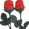 Chocolate Rose - 20G<Party Delights Clearance