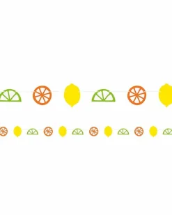 Citrus Fruit Paper Garland - 6Ft<Party Delights Best
