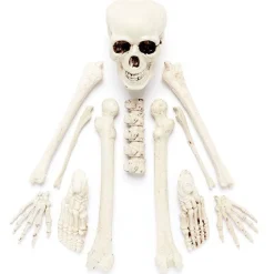 Party Delights Props<Complete Bag Of Skeleton Bones