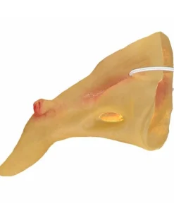 Women's Party Delights Women's<Crooked Witch Nose