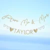 Customisable Future Mr/Mrs Paper Letter Banner<Party Delights New