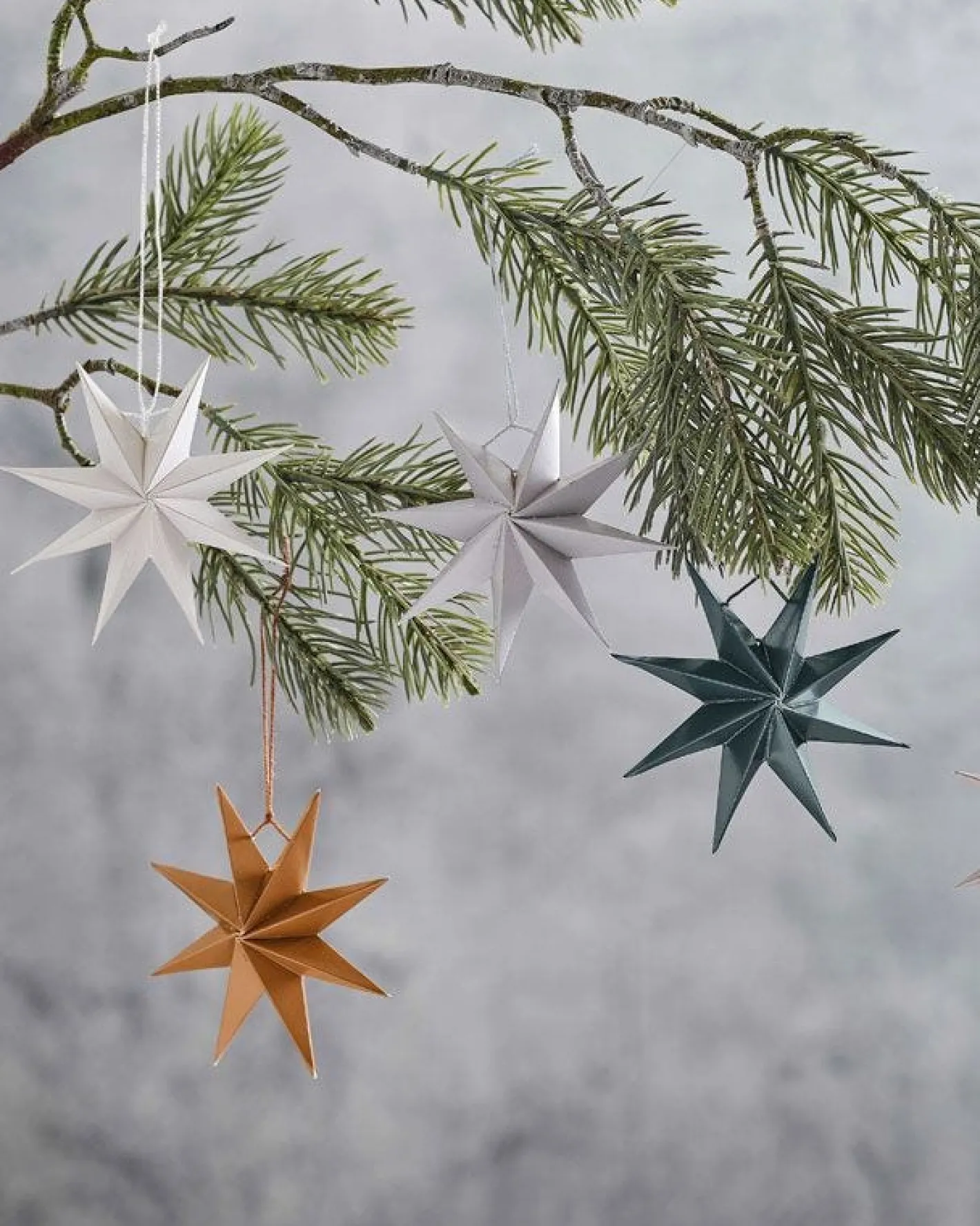 Party Delights Hanging Decorations<3D Paper Stars Tree Decorations (5Pk)