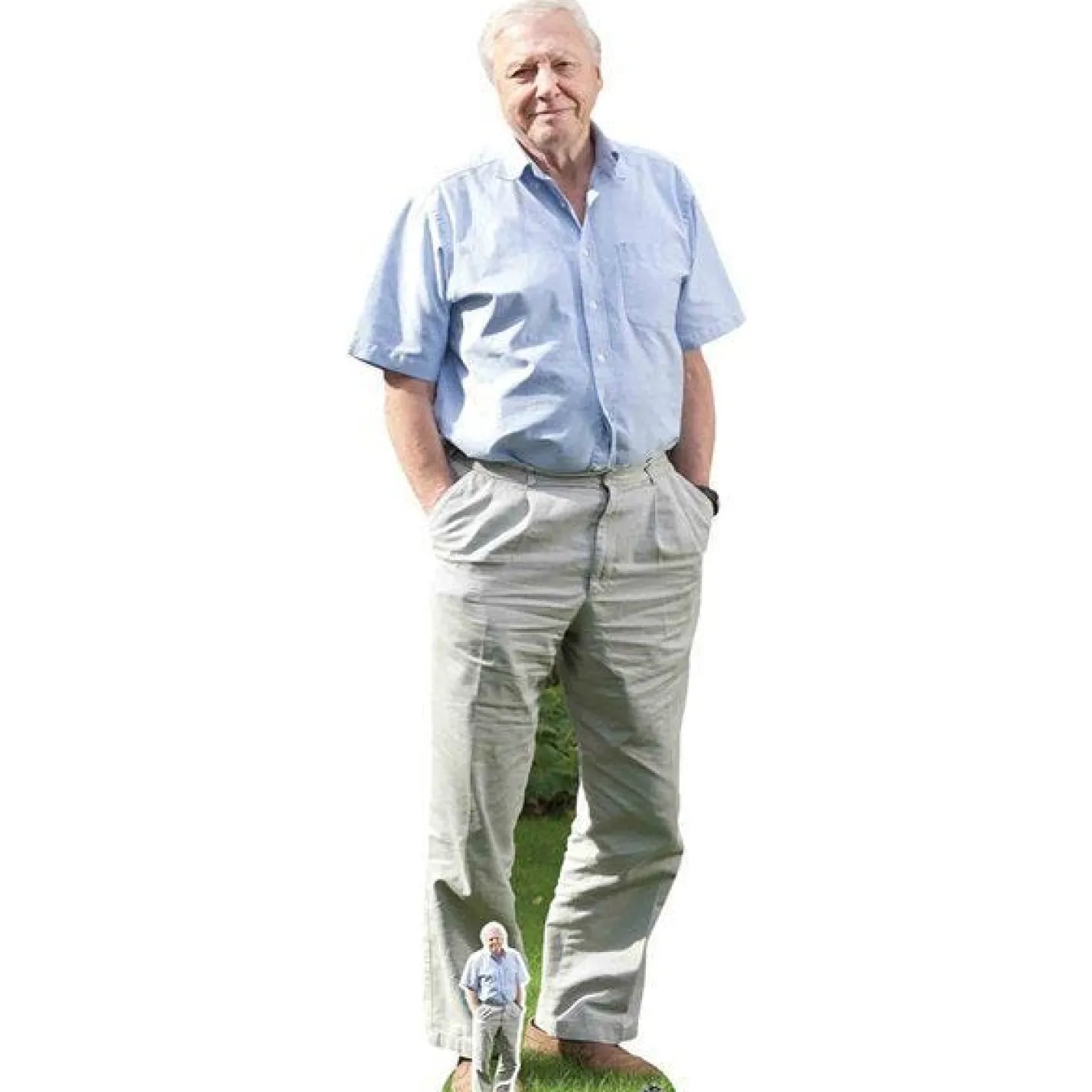 David Attenborough Cardboard Cutout - 178Cm X 63Cm<Party Delights Hot