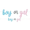 Gender Reveal Boy Or Girl Paper Banner - 2.13M<Party Delights Sale