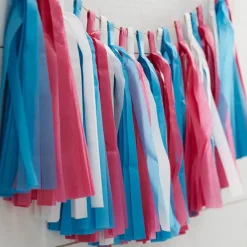 Gender Reveal Paper Tassel Garland - 2.5M<Party Delights Clearance