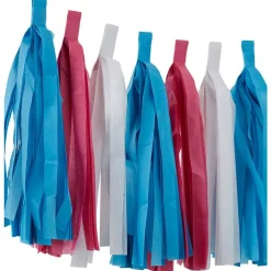 Gender Reveal Paper Tassel Garland - 2.5M<Party Delights Clearance