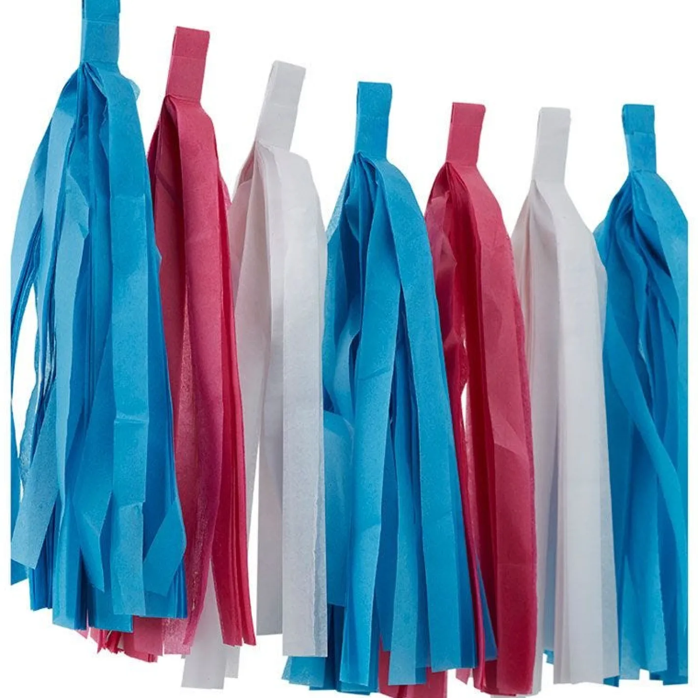 Gender Reveal Paper Tassel Garland - 2.5M<Party Delights Clearance