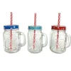 Party Delights Tableware<Glass Mason Jar - Assorted Designs