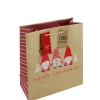 Party Delights Gift Wrapping<Gonk Medium Gift Bag - 25.5Cm X 21.5Cm