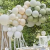 Green And Nude Balloon Arch With Streamers - 70 Balloons<Party Delights Clearance