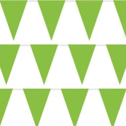 Green Plastic Bunting - 10M<Party Delights Outlet