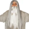 Party Delights Costume Accessories<Grey Long Wig