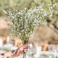 Gypsophilia Foliage Stems (5Pk)<Party Delights Best