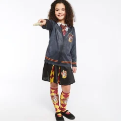 Party Delights Harry Potter<Harry Potter Gryffindor Socks - Child