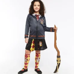 Party Delights Harry Potter<Harry Potter Gryffindor Socks - Child