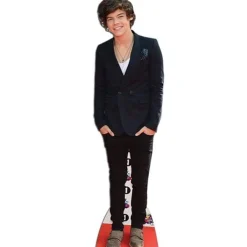 Harry Styles Boyband Cardboard Cutout - 166Cm X 45Cm<Party Delights Sale
