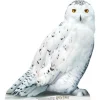 Hedwig Harry Potter Cardboard Cutout - 74Cm X 67Cm<Party Delights Discount