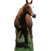 Horse Cardboard Cutout - 190Cm X 80Cm<Party Delights Online