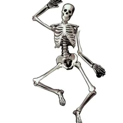 Party Delights Hanging Decorations<Jointed Card Skeleton - 1.2M