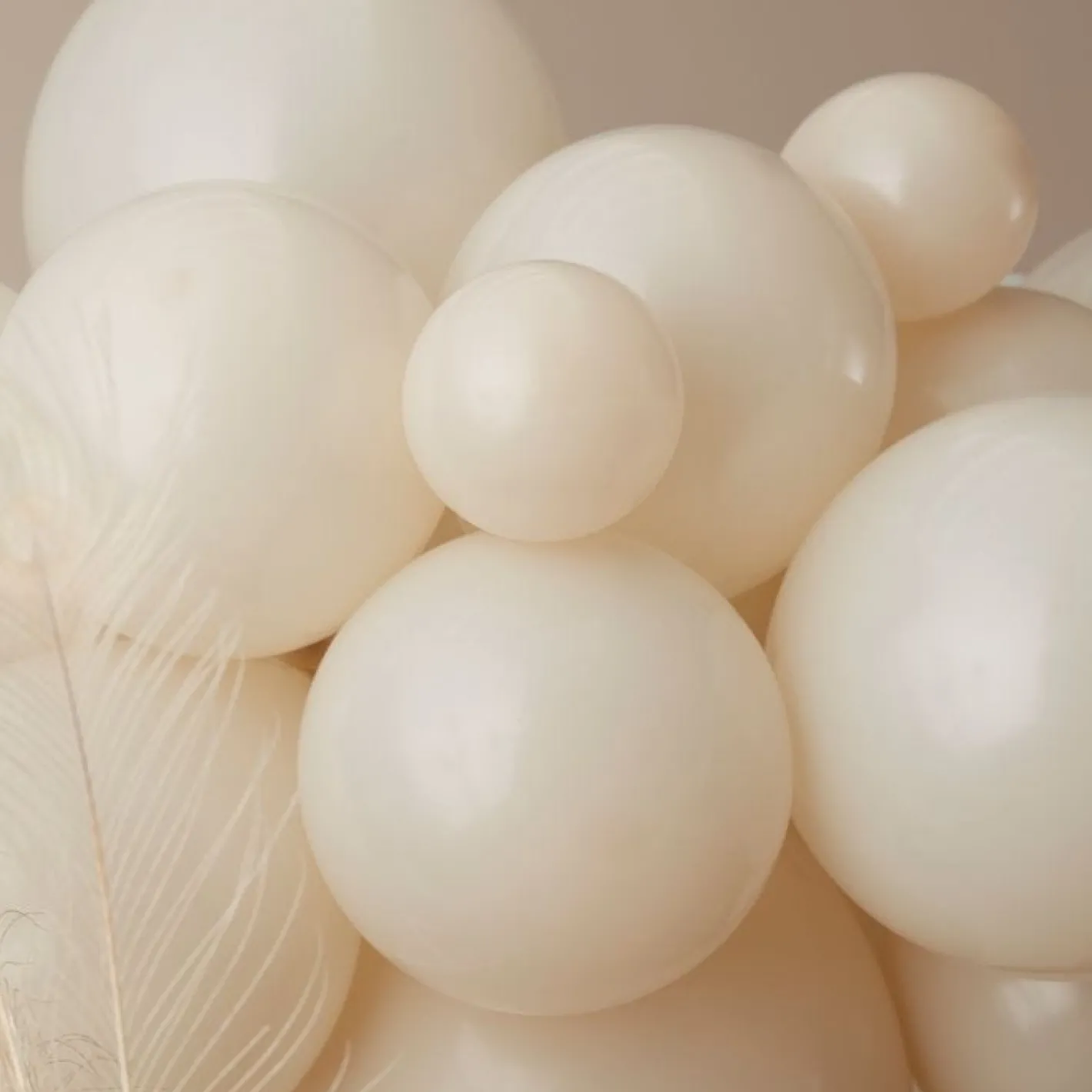 Nude And Brown Balloon Arch Kit - 70 Balloons<Party Delights Discount