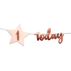 Personalised Blush & Rose Gold 'Today' Bunting With Stickers<Party Delights Sale