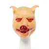 Pig Head Mask<Party Delights