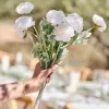 Ranunculus Foliage Stems (3Pk)<Party Delights Online