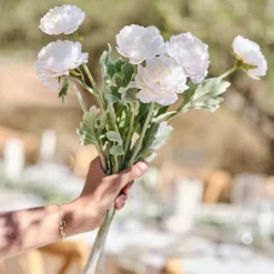 Ranunculus Foliage Stems (3Pk)<Party Delights Online