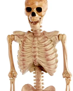 Party Delights Skeletons & Tombstones<Realistic Skeleton - 1.5M Halloween Prop