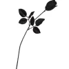 Party Delights Props<Rose Black