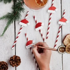 Party Delights Tableware<Santa Hat Red & White Stripe Paper Straws (20Pk)