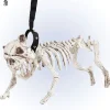 Party Delights Props<Skeleton Dog With Lead - 45Cm
