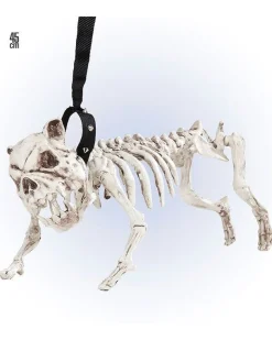 Party Delights Props<Skeleton Dog With Lead - 45Cm