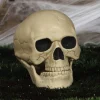 Party Delights Skeletons & Tombstones<Skull - 20Cm