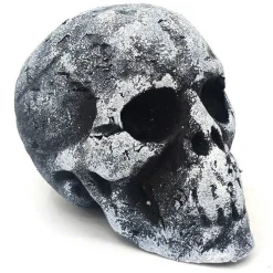 Party Delights Props<Small Foam Skull - 11Cm