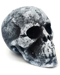 Party Delights Skeletons & Tombstones<Small Foam Skull Head - 11Cm