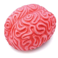 Party Delights Props<Squeezy Brain